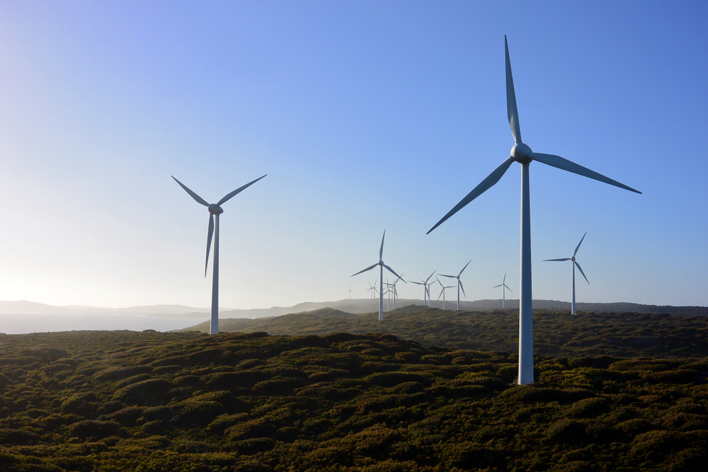 HCC Windmill Photo