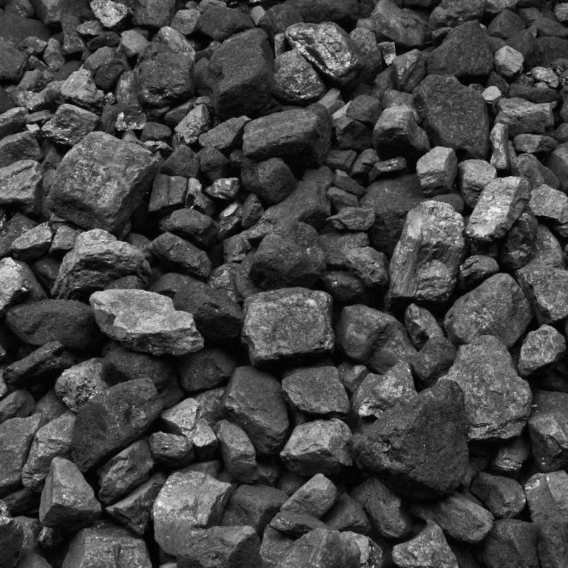Australian coal shown close up