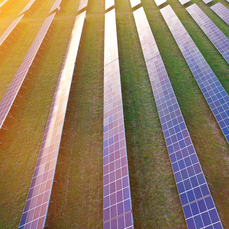The sun setting over rows of solar panels in a solar farm that supplies electricity to the grid