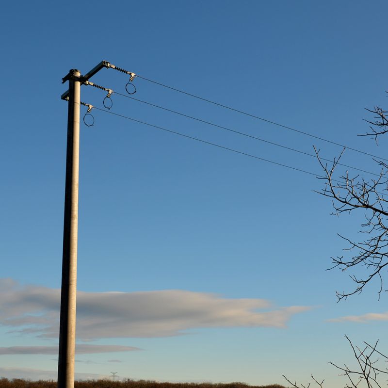Electricity distribution pole in a regional setting 
