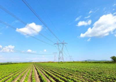 A farming crop with a transmission tower in the background