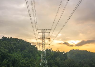 A high voltage transmission tower in thick forest with another transmission tower in the distance